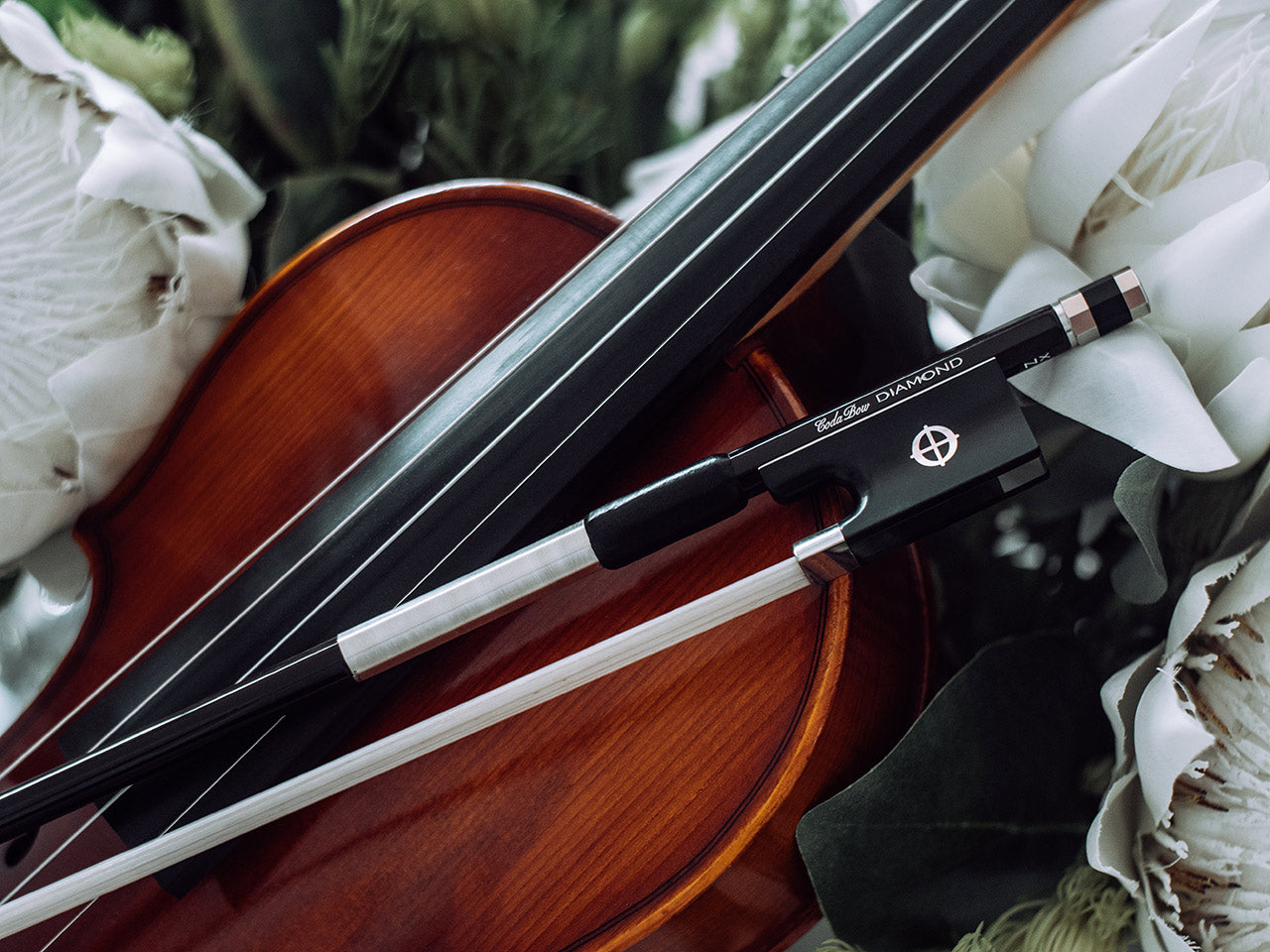 Best violin online bows for professionals